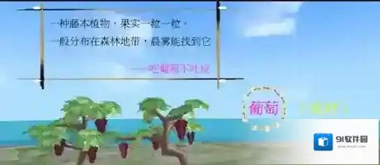 创造与魔法葡萄