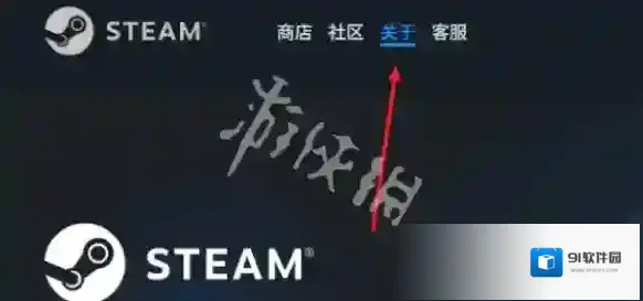 steam应用商店