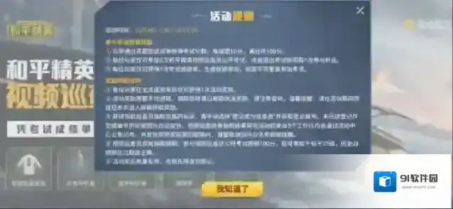 和平精英玩家