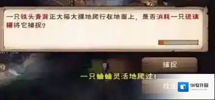 烟雨江湖抓法