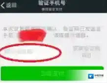 微信选项