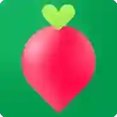 叮咚买菜应用2025-叮咚买菜官方最新版Android12.1.1