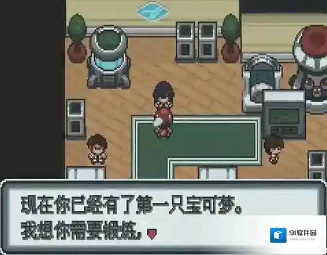 口袋妖怪玩家