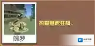 疯狂动物园极速野猪怎么驯服 急速野猪属性图鉴