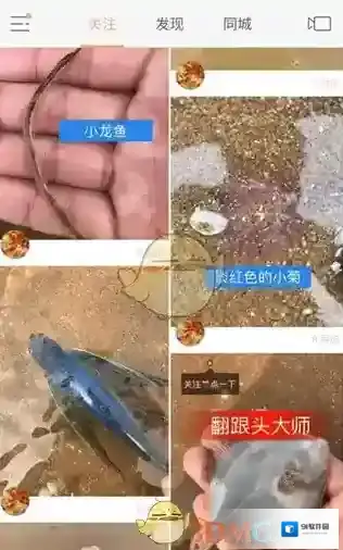 快手作品