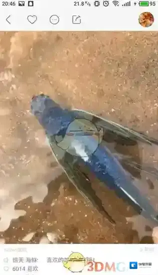 快手图片