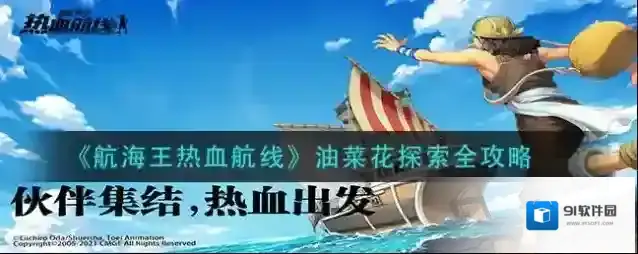 航海王热血航线油菜花
