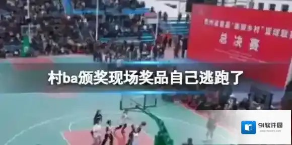 村ba颁奖现场奖品自己逃跑了 奖品让人“大饱口福”