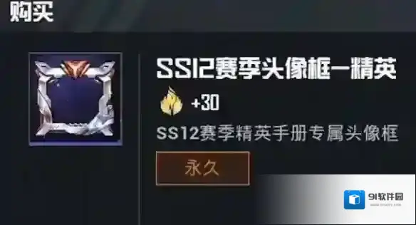 和平精英巅峰赛