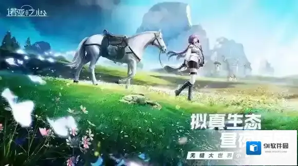 诺亚之心之心
