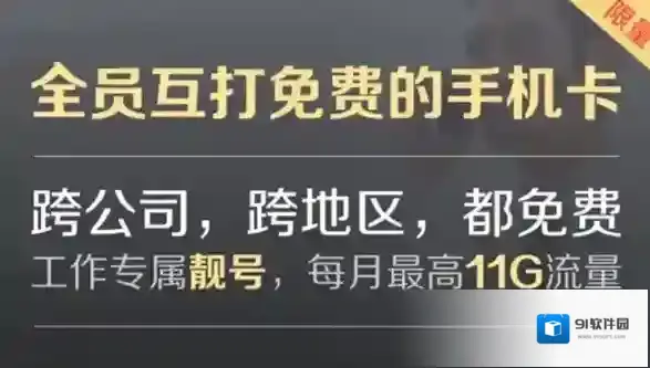 《钉钉》卡是什么？钉钉卡套餐一览