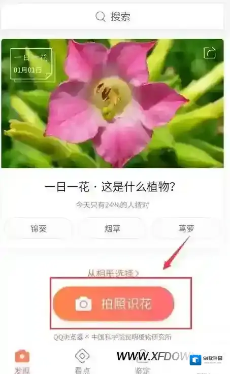 微信小编