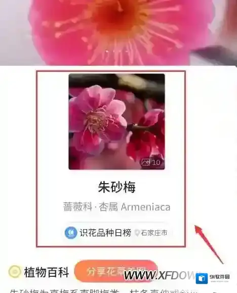 微信点击