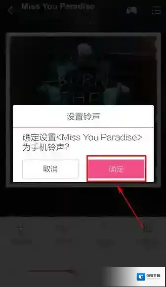 多米音乐选择