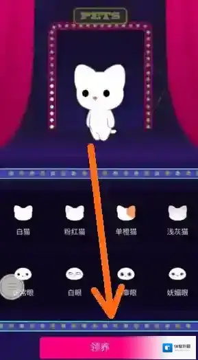QQ空间宠物