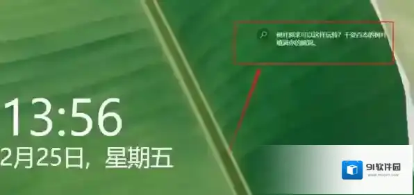 微软锁屏画报图片