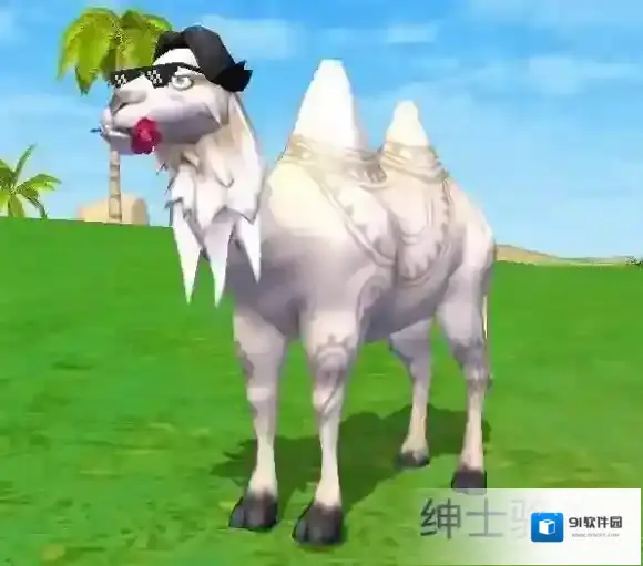 创造与魔法骆驼