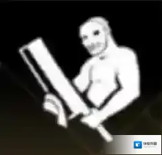 非匿名指令纹章