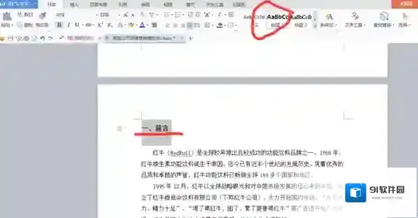 WPS格式