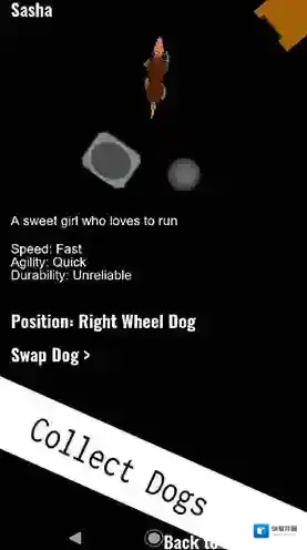 雪橇犬的生活雪橇犬