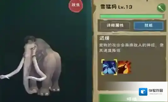 创造与魔法战宠大全
