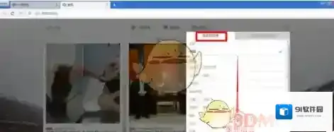 欧朋浏览器国家