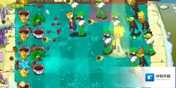 植物大战僵尸杂交版地图