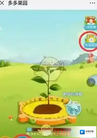 拼多多界面