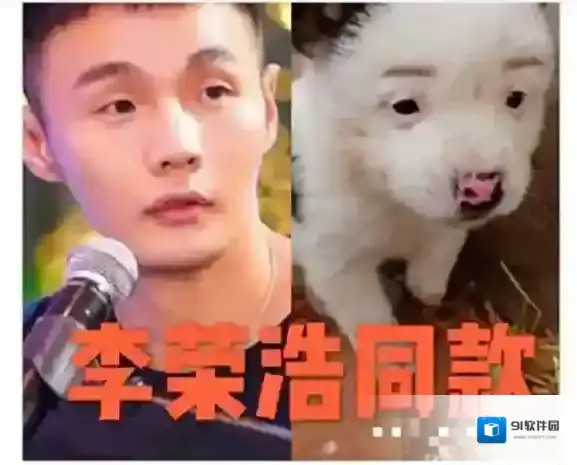 李荣浩同款狗狗原图分享