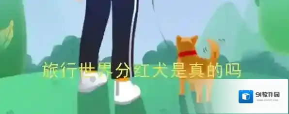 《旅行世界》分红犬是真的吗