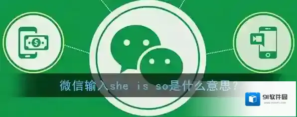 微信输入she is so是什么意思？