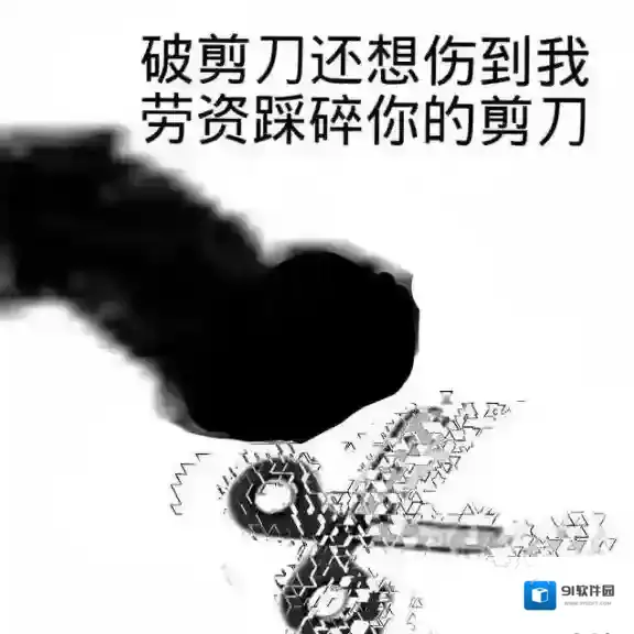 QQ呼呼呼