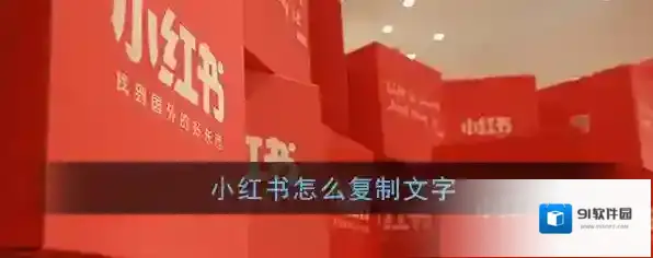 小红书图片