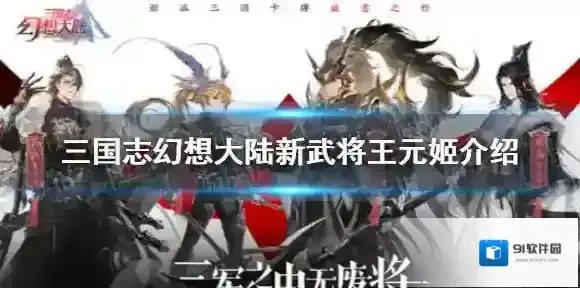 三国志幻想大陆王元姬