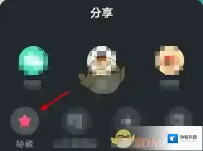秘乐短视频收藏