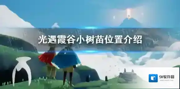 Sky光遇小树苗