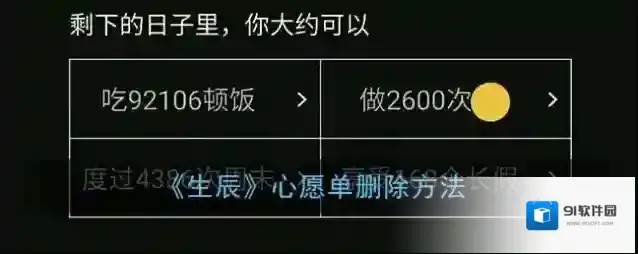 生辰心愿单