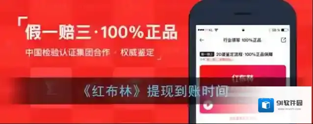 《红布林》提现到账时间