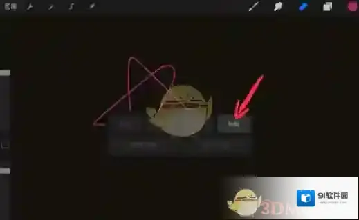 Procreate Pocket复制