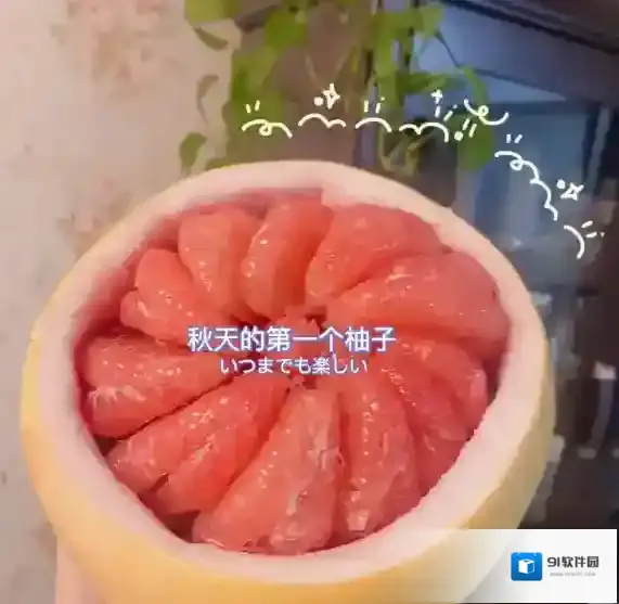 小红书吃柚子
