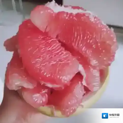 小红书好像
