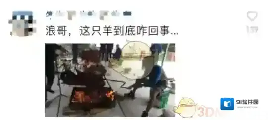 快手浪哥