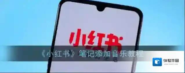 小红书点击