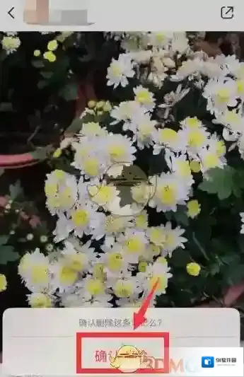 小红书确认删除