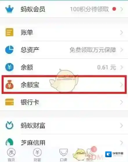 支付宝转入