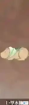 食之契约巨型水豚怎么样 堕神巨型水豚技能介绍