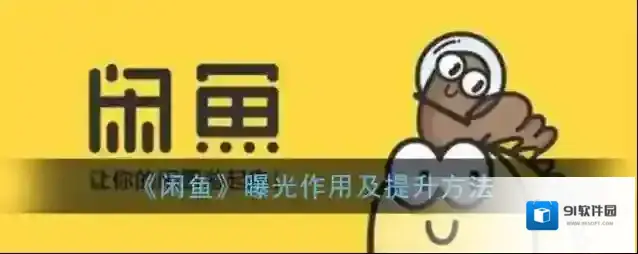 《闲鱼》曝光作用及提升方法