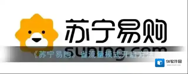 苏宁易购开启