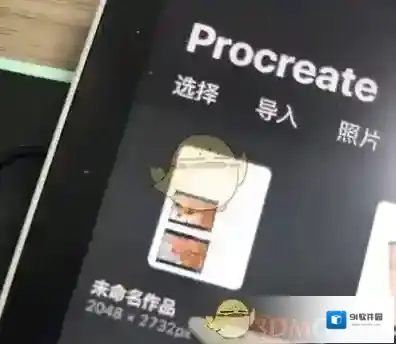 Procreate Pocket就可以