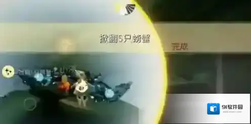 光遇大号